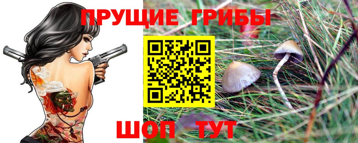 Псилоцибиновые грибы Cubensis Заринск