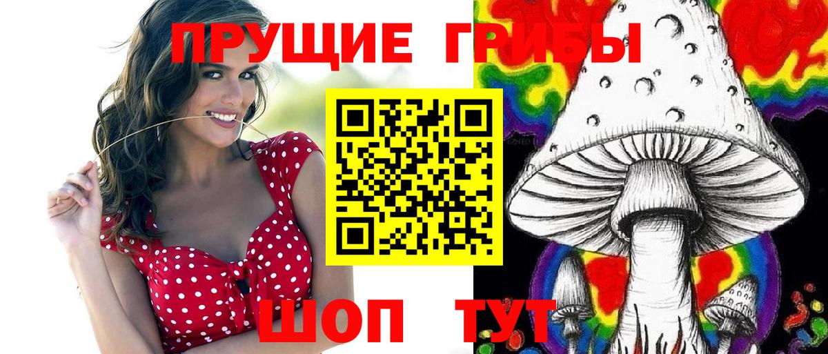 Заринск  Псилоцибиновые грибы мухоморы  закладка  Вход с VPN 